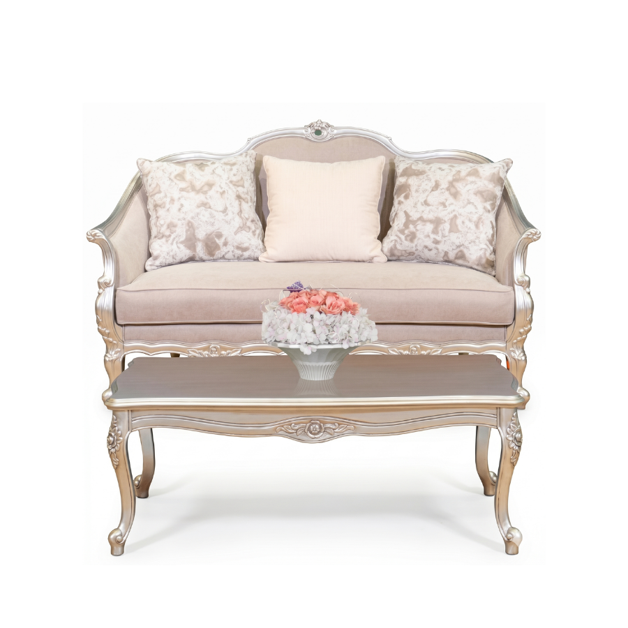 BARTOLLI 2 Seater + Coffee Table